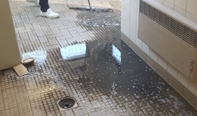 Nettoyage de douches et sanitaires à Bron